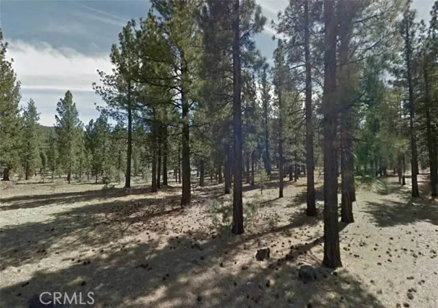0 Avenue E, Big Bear City, CA 92314 - Image #3
