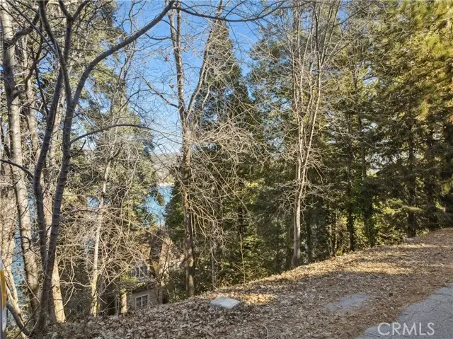 28774 Palisades, Lake Arrowhead, CA 92352 - Image #3