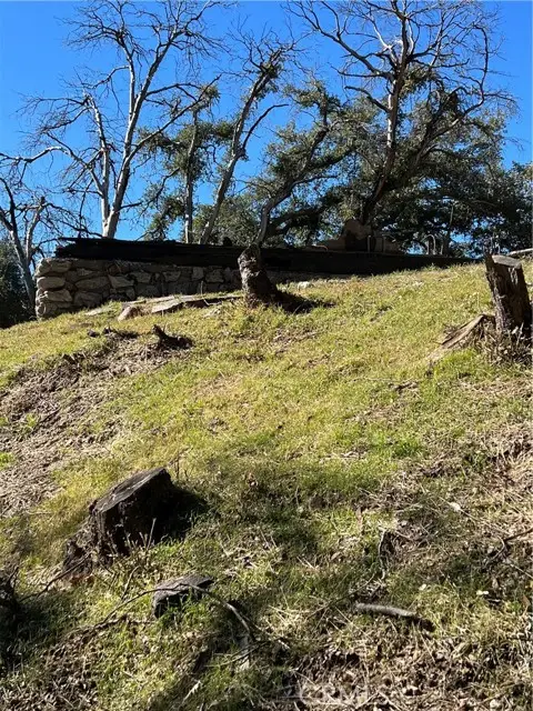 23491 Short Way, Crestline, CA 92325 - #1