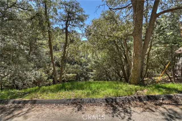 23491 Short Way, Crestline, CA 92325 - #3