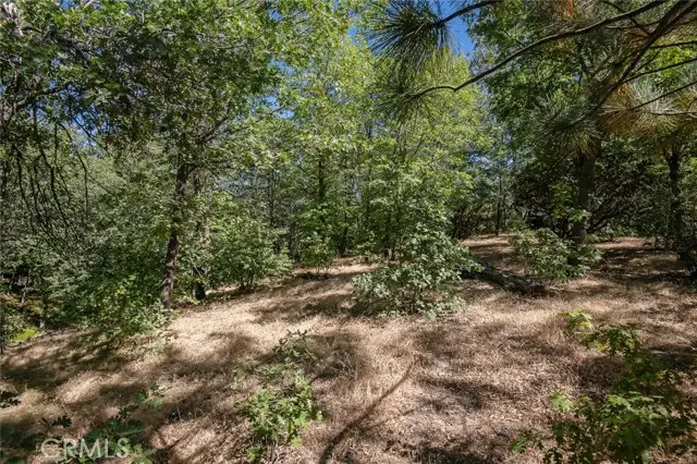 0 North Shore, Lake Arrowhead, CA 92352 - #2