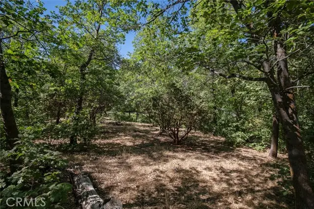 0 North Shore, Lake Arrowhead, CA 92352 - #3