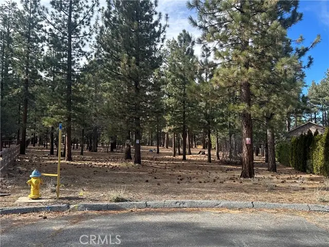 1801 Shady, Big Bear City, CA 92314 - Image #1