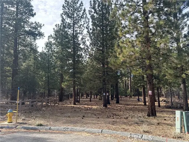 1801 Shady, Big Bear City, CA 92314 - Image #2