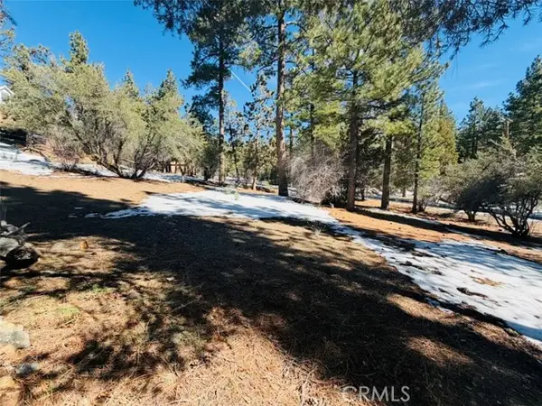 808 Antelope Mountain Drive, Big Bear City, CA 92314