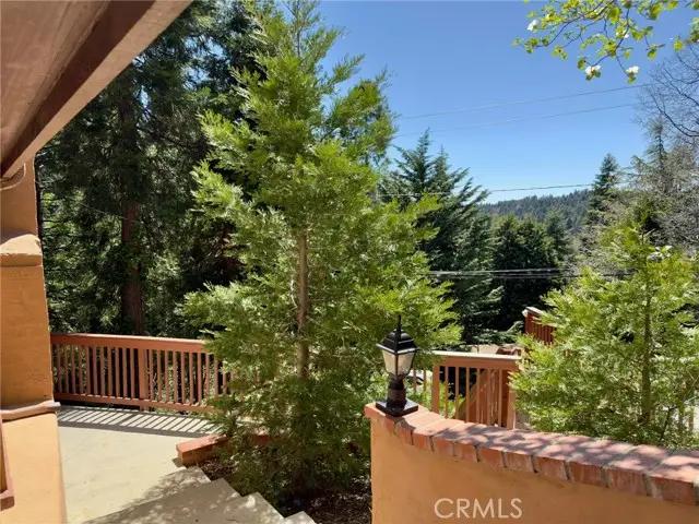 777 Ivy Lane, Lake Arrowhead, CA 92352 - #3