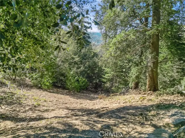 0 Chateau, Crestline, CA 92325 - #1