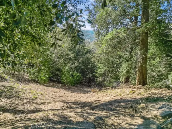 0 Chateau, Crestline, CA 92325