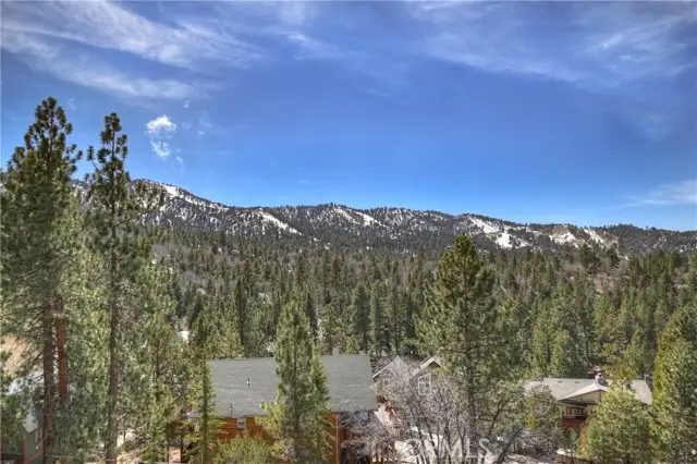 43850 Yosemite, Big Bear Lake, CA 92315 - #2