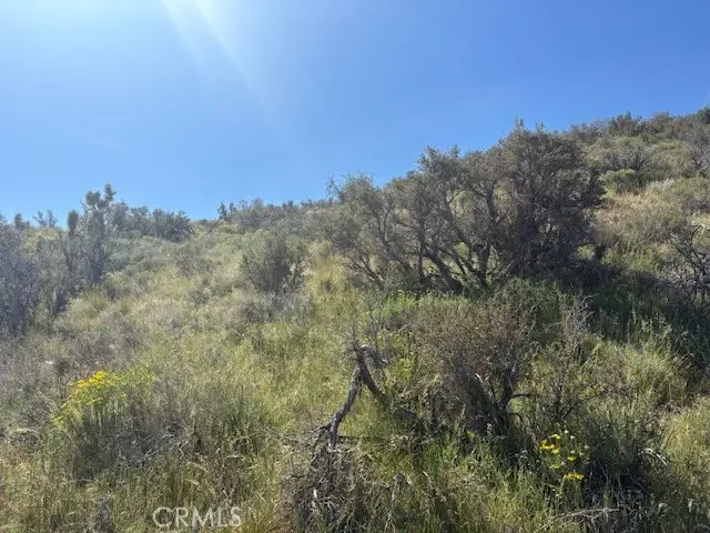 0 none, Pinon Hills, CA 92372 - #2