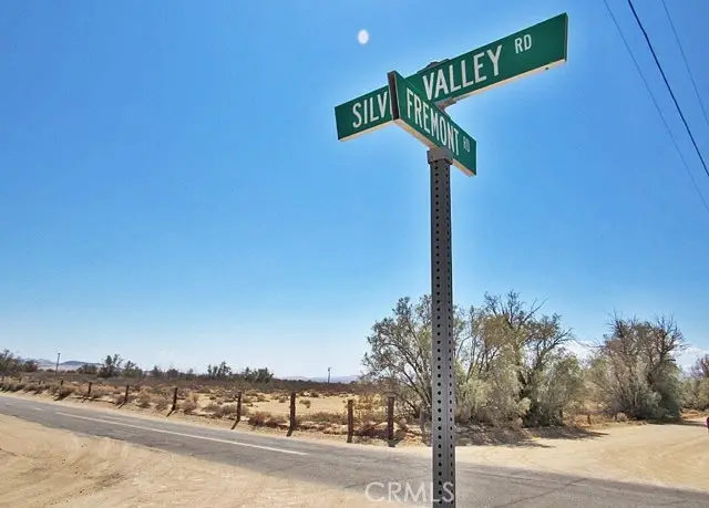 0 0531-151-31-0000 Silver Valley Road, Newberry Springs, CA 92365 - #1