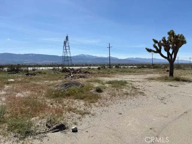 1290 Highway 18, Pinon Hills, CA 92372 - #3