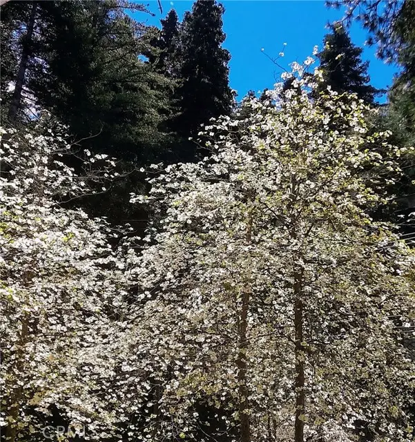 848 Oakmont, Lake Arrowhead, CA 92352 - #3