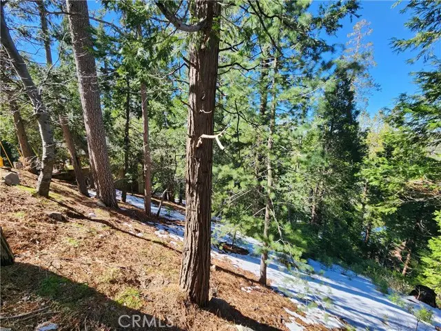 26236 Boulder Lane, Twin Peaks, CA 92391 - #1