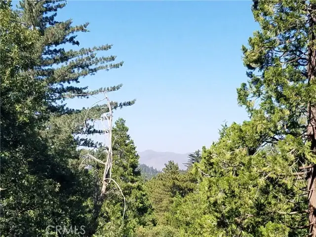 26236 Boulder Lane, Twin Peaks, CA 92391 - #3