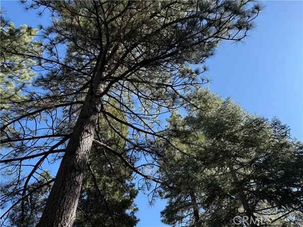 27334 Pinewood Drive, Lake Arrowhead, CA 92352