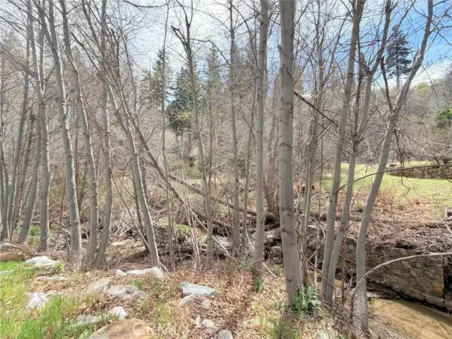 29949 Hook Creek, Cedar Glen, CA 92321 - #1