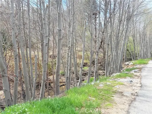 29949 Hook Creek, Cedar Glen, CA 92321 - #2