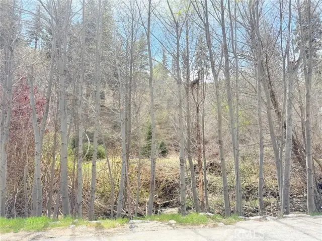 29949 Hook Creek, Cedar Glen, CA 92321 - #3