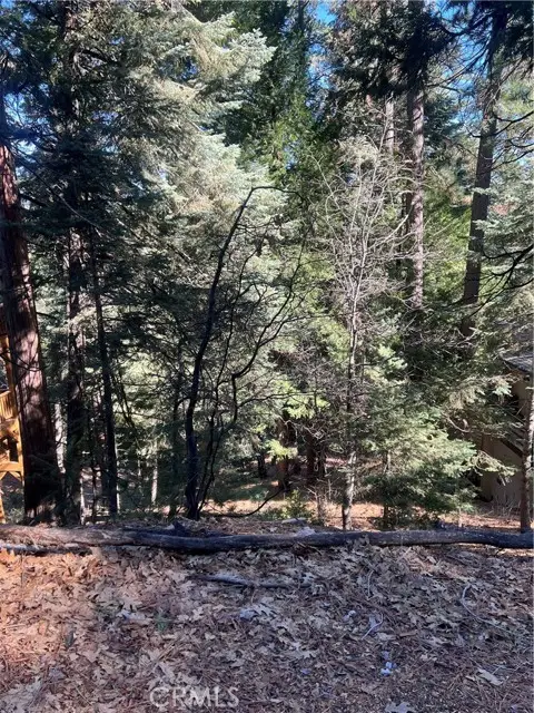 0 Forest, O Neals, CA 02391 - #1