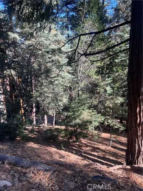0 Forest, O Neals, CA 02391 - #2