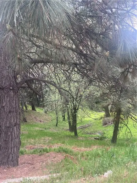 0 Jewel, Crestline, CA 92325 - #3