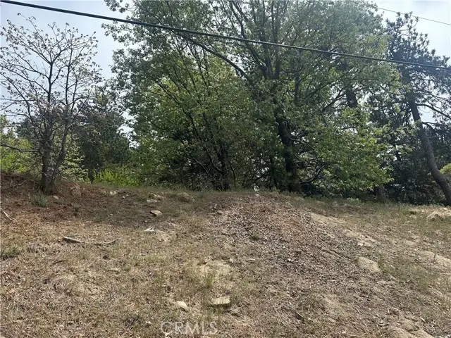 0 Deer Lick Lane, Running Springs, CA 92382 - #1