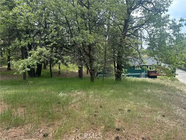 0 Deer Lick Lane, Running Springs, CA 92382 - #2
