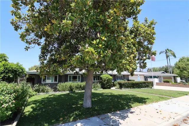 233 PHLOX Avenue, Redlands, CA 92373 - #3