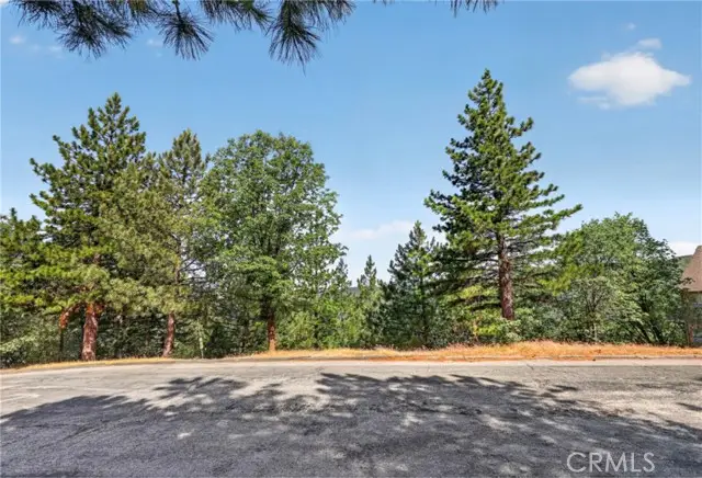 30308 Leprechaun, Running Springs, CA 92382 - #1