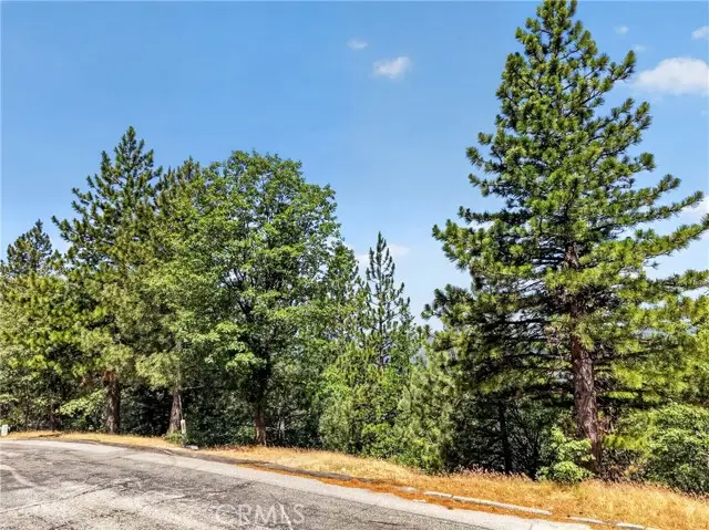 30308 Leprechaun, Running Springs, CA 92382 - #3