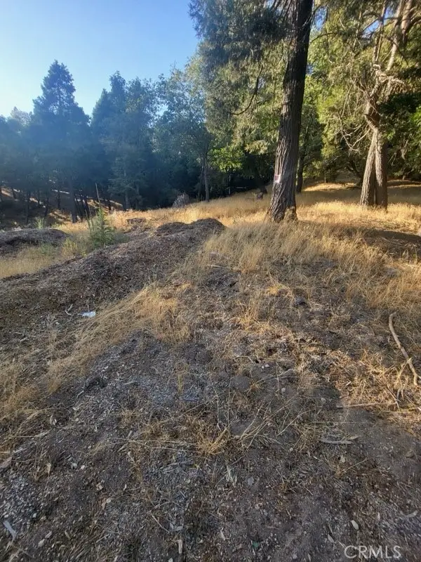 0 Lake Drive, Crestline, CA 92325 - #2