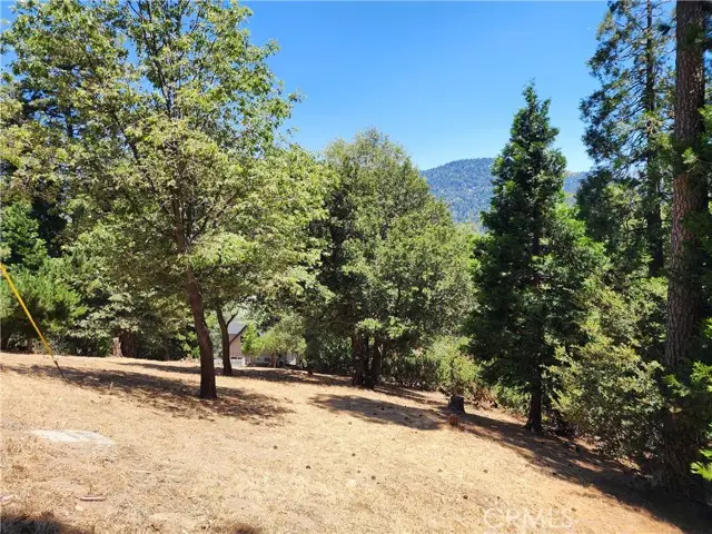 315 Weisshorn Drive, Crestline, CA 92325 - #3