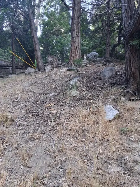 6 Finhaut Drive, Crestline, CA 92325 - #1