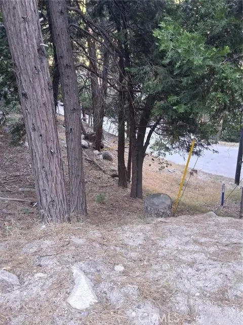 6 Finhaut Drive, Crestline, CA 92325 - #3