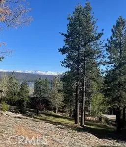 39405 Garden Place, Fawnskin, CA 92333 - #3