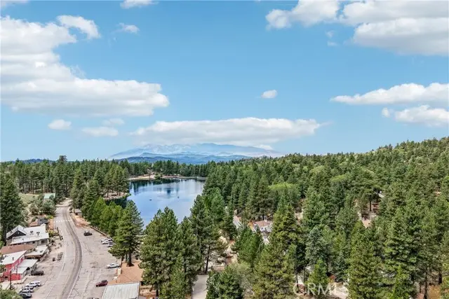 33329 Robin Drive, Green Valley Lake, CA 92341 - #2