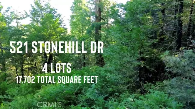 521 Stone Hill, Lake Arrowhead, CA 92352 - #1