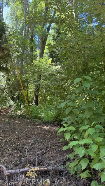 0 Rainbow, Lake Arrowhead, CA 92352