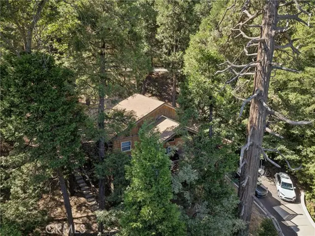 24839 Felsen Drive, Crestline, CA 92325 - #1