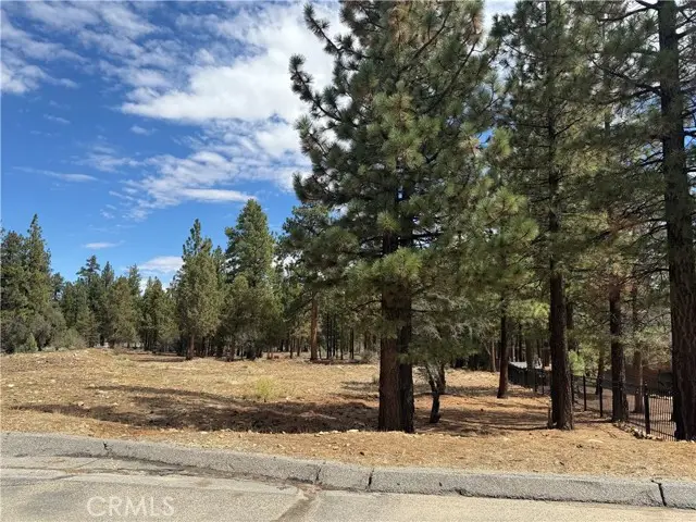 0 Alderwood, Big Bear City, CA 92314 - #1