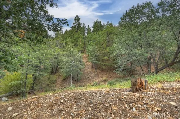 0 Minton Avenue, Big Bear City, CA 92314