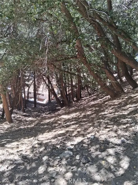 10 Delle, Crestline, CA 92325