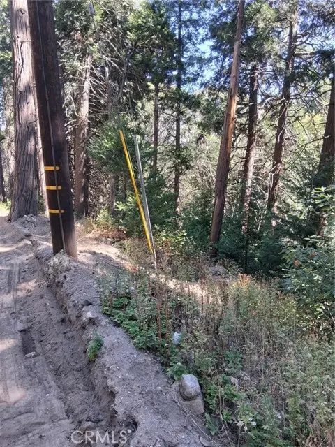14 Burnt Mill Canyon Road, Cedarpines Park, CA 92322