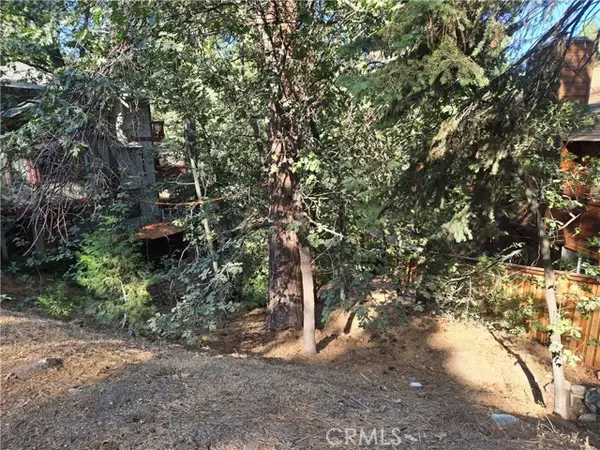 0 Secret Drive, Running Springs, CA 92382