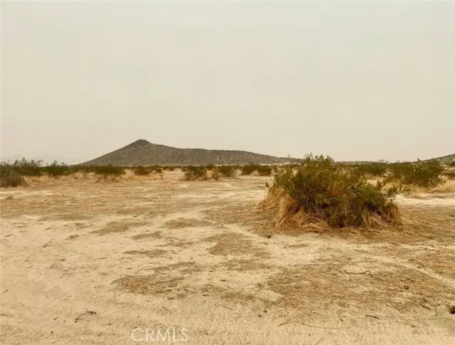 0 (210e) Largo, Palmdale, CA 93591 - #3