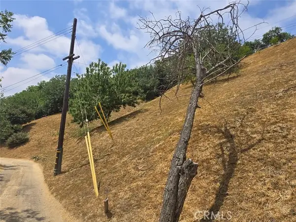 2621 Forest Park Drive, Los Angeles, CA 90032