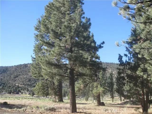 2824 Erwin Ranch Road, Big Bear City, CA 92314 - #2