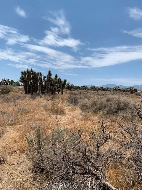 0 Tumbleweed, Phelan, CA 92371 - #2