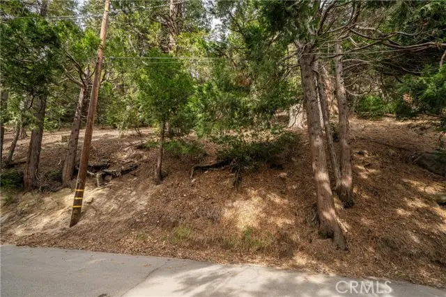 0 Valle Drive, Crestline, CA 92325 - #2